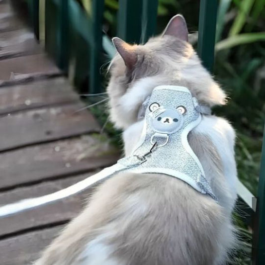 LIBERTYCAT - Harnais pour chat réglable